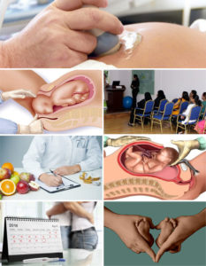 Obstetrics Service